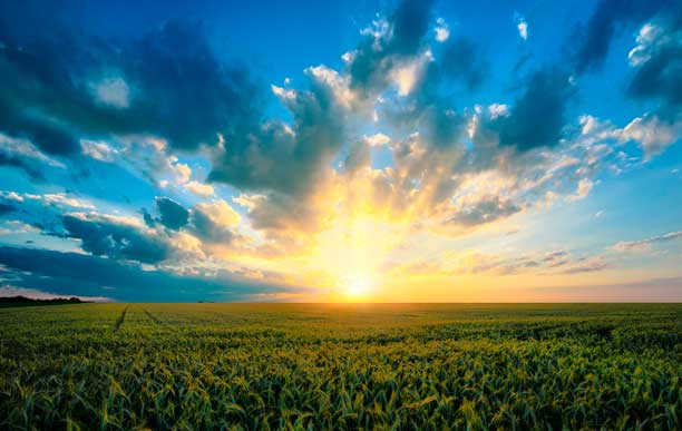 Innovación tecnológica en el medio rural