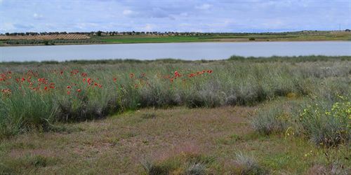 Castilla - La Mancha. Un científico del Real Jardín Botánico abrirá en Toledo el Encuentro Internacional de Expertos en Humedales