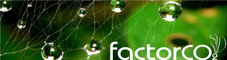 Factor CO2. V Seminario Internacional CEPAL sobre la Huella de Carbono