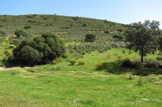 Andalucía implementa en su web una sección sobre el paisaje