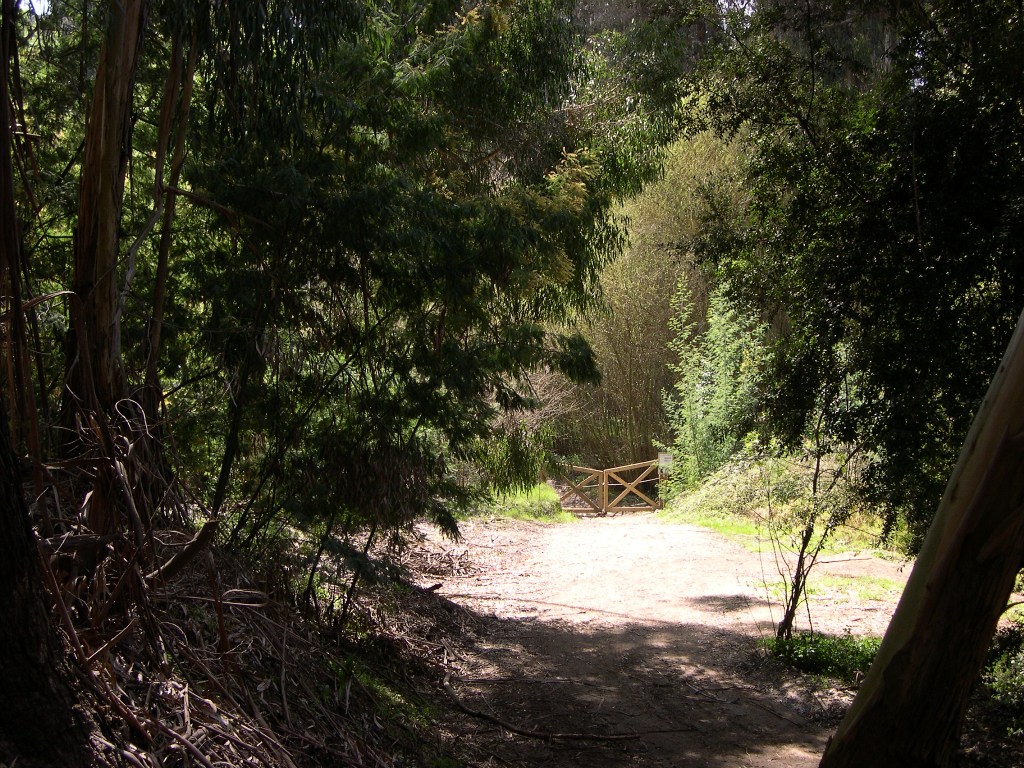 Un laboratorio investigará el impacto de la radiación en la flora