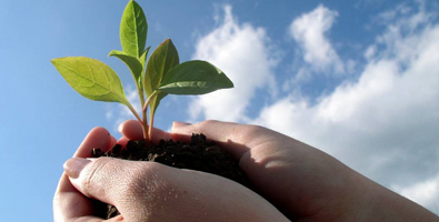 Convocan a renovar cartel por Día Mundial del Medio Ambiente