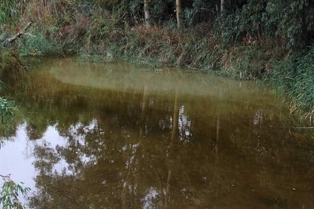 Denuncian un nuevo vertido contaminante en el río Guadaíra