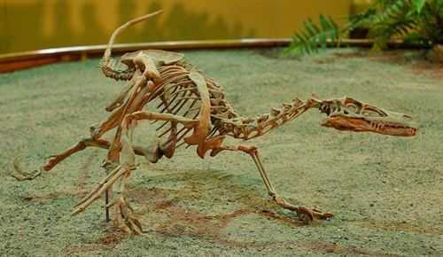La mayoría de especies de dinosaurios tenían escamas