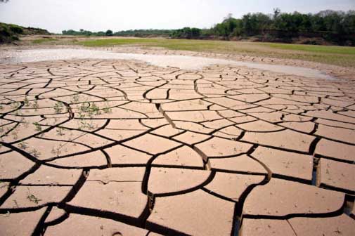 "El 75% de la superficie española puede desertificarse"