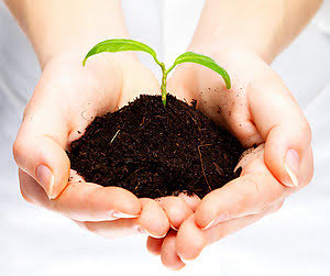 Postgrado de IUSC en sensibilización ambiental