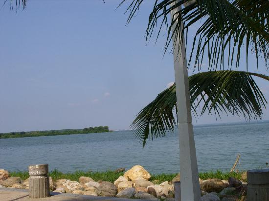 ¡Ahora le Tocó al Relámpago del Catatumbo!