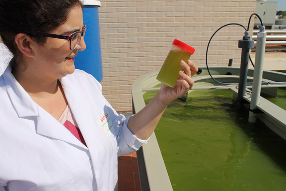 Consiguen fertilizantes de lodos de depuradora