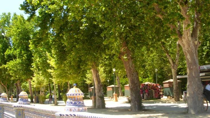 Los directores de parque en Sevilla