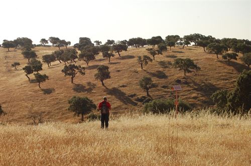 El Grupo CLH verifica su actuación en espacios protegidos de cinco CC.AA. con estudios ambientales