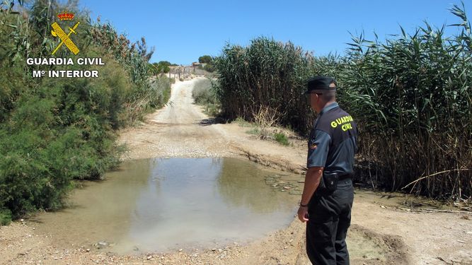 Guardia Civil investiga en Murcia al responsable de una granja por vertidos ilegales de purines en Las Torres