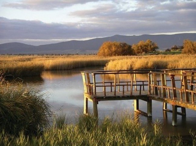 Botulismo en la laguna de Navaseca