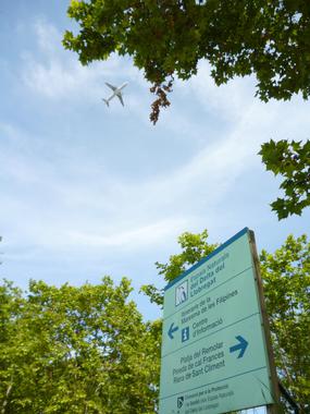 El ruido de los aeropuertos adelanta en canto de las aves