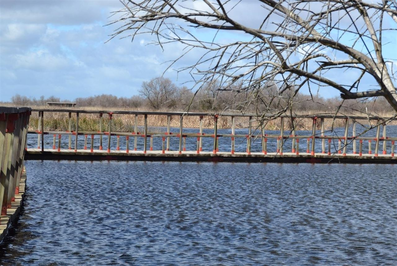 Plan Rector de Gestión del Parque de las Tablas de Daimiel