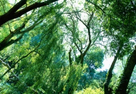 Mejora de la eficiencia energética en Parques Nacionales.