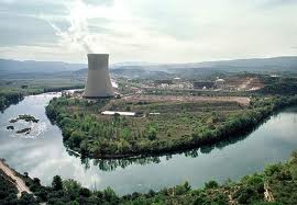 En el río Ebro. Una plaga masiva de algas obliga a la nuclear de Ascó a reducir potencia