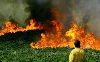 Los incendios forestales en Galicia se reducen un 20%
