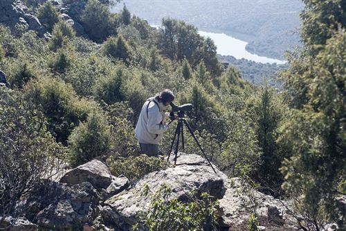 El Parque Nacional de Monfragüe será el centro del turismo de naturaleza y ornitología durante la FIO