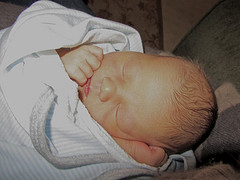 Parlamento de Nicaragua declara a isla de Ometepe como Reserva de la Biosfera