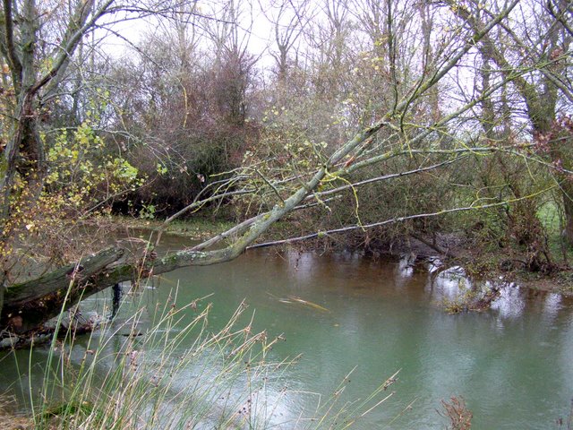 El MARM encarga a Tragsa los trabajos de regeneración ambiental y control de avenidas del río Odra (Burgos)