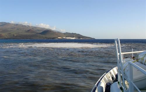 El volcán submarino de El Hierro modifico el ecosistema