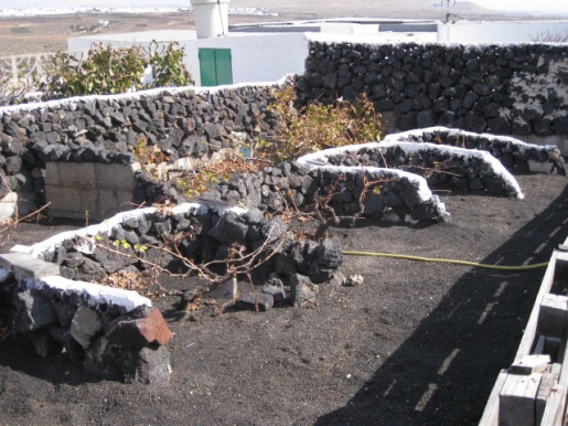 Lanzarote. Lo más bio de la isla
