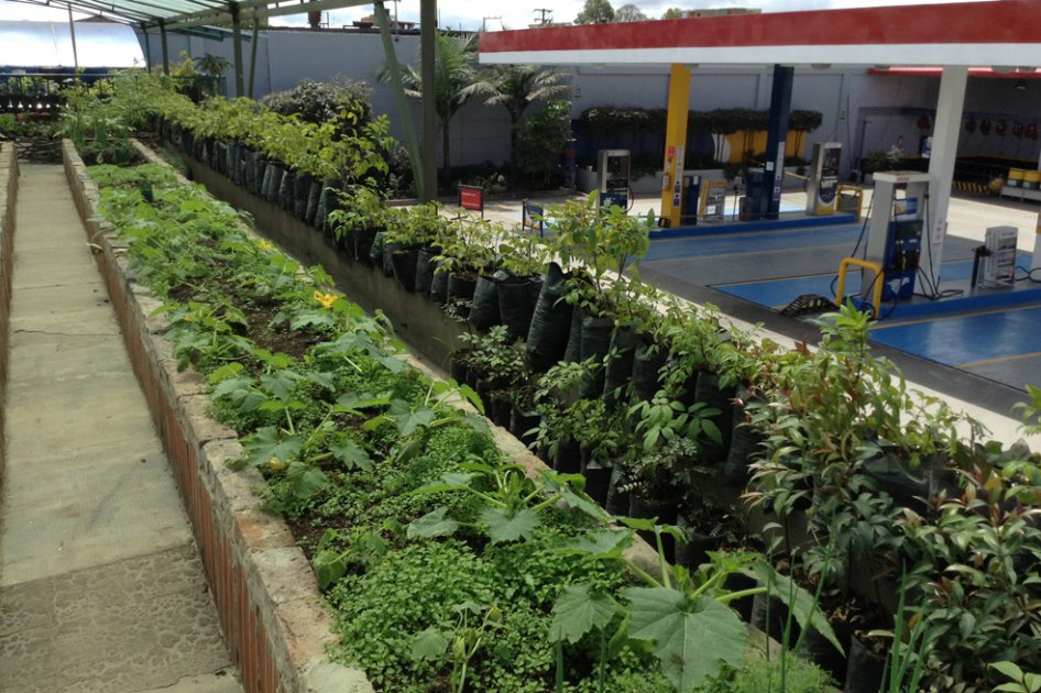 La gasolinera agroecológica en Bogotá