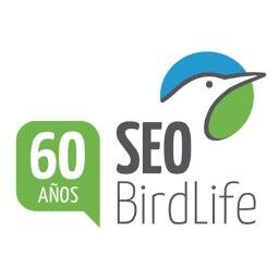 SEO/BirdLife renovará su directiva