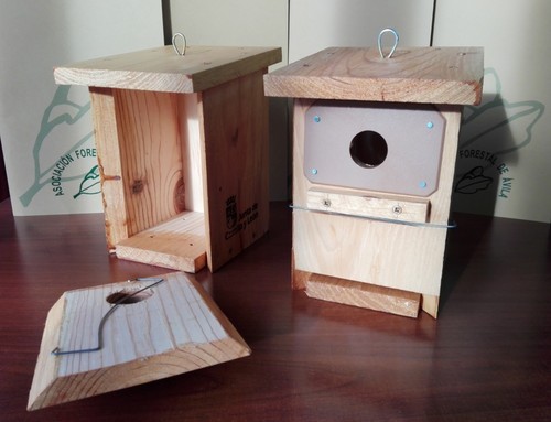 Los propietarios forestales de Valladolid y Ávila se preparan para luchar contra la procesionaria del pino