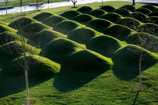 El Ayuntamiento de Huesca retoma los paseos guiados a los espacios verdes