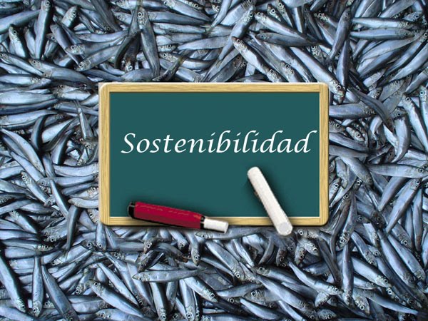 Greenpeace  pide al Gobierno que se implique en la defensa de la pesca sostenible