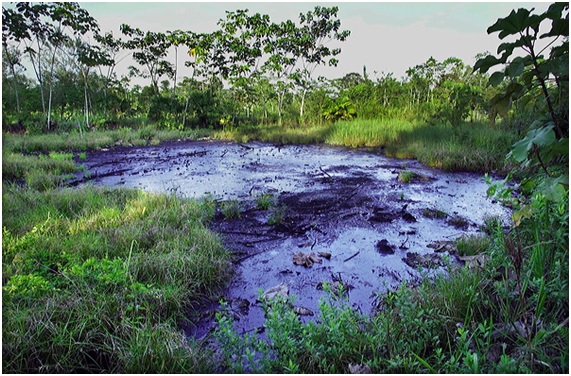 Chevron no paga y la selva ecuatoriana y sus indígenas se mueren
