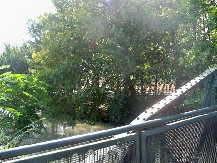 Nueva infraestructura verde en Zaragoza que contará con 76 nuevas señales