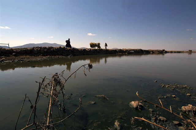 Bolivia invertirá 77