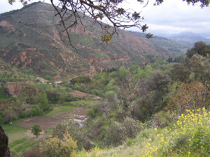 Alegaciones al proyecto de actuación sobre el río Darro (Granada)