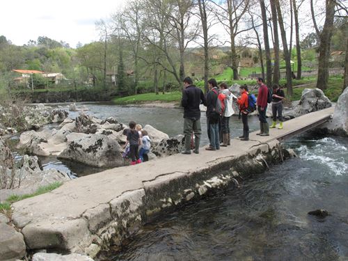 Cantabria. Asociación Cambera arranca hoy la campaña de muestreo del Proyecto Ríos