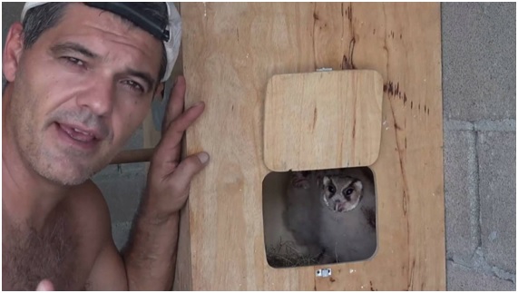 Las dos caras de la libertad