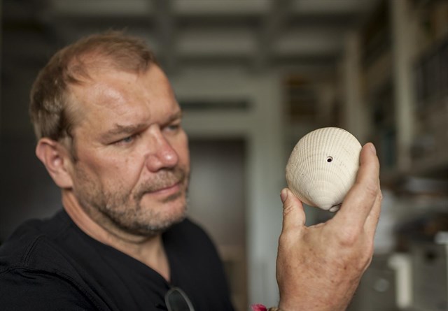 Los predadores marinos crecieron sin aumentar el tamaño de sus presas