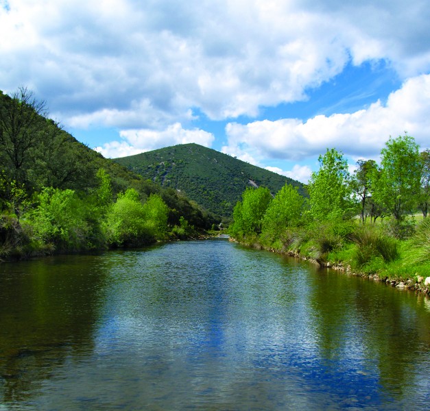 Geólogos y paleontólogos de 20 países visitan Cabañeros