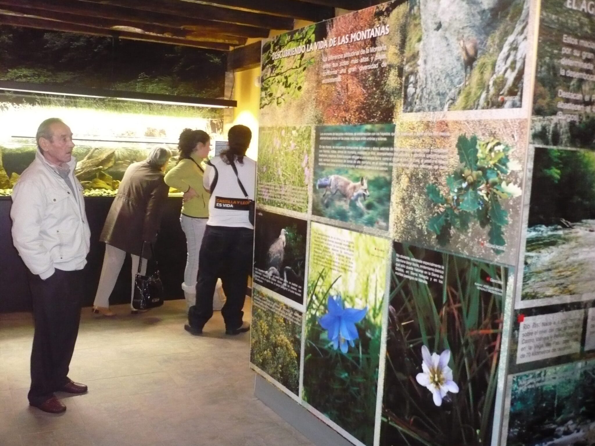 La FNYH celebra mañana sábado el Día Mundial del Medio Ambiente