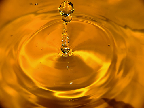 70.000 alumnos participan en el programa CanalEduca para aprender a cuidar el agua