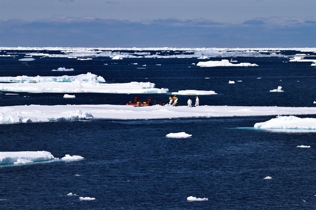 La Antártida pierde hielo marino a pasos agigantados