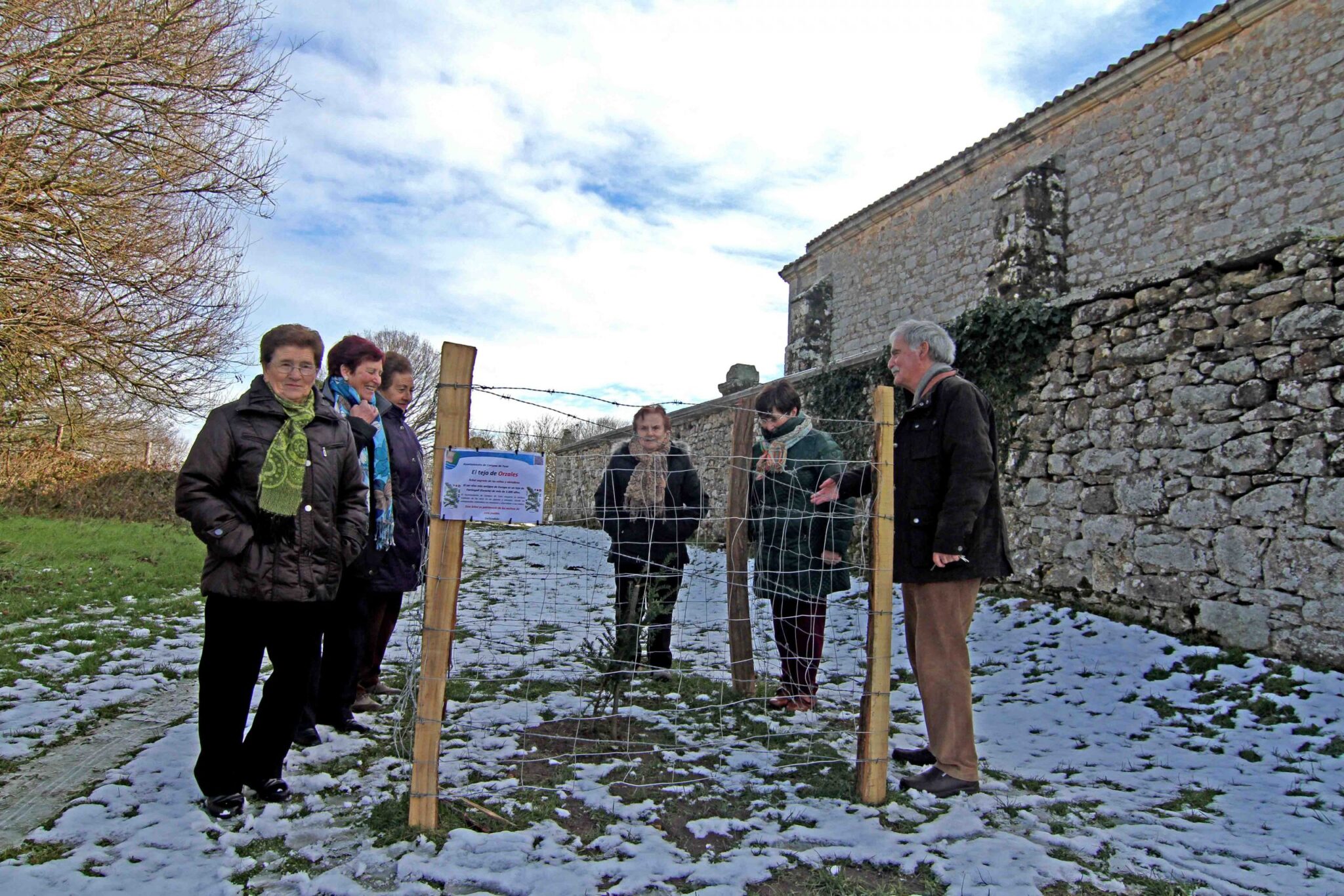 Comienza la plantación de tejos en Campoo de Yuso
