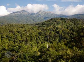 U.S. promises $ 136 million in climate aid to Indonesia