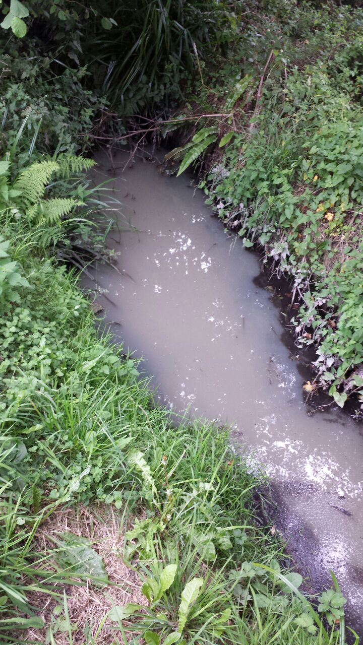 Asturias. Mas vertidos de aguas contaminadas en Villaviciosa