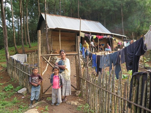 Solo 22 de los 194 países han ratificado el convenio que protege los territorios indígenas