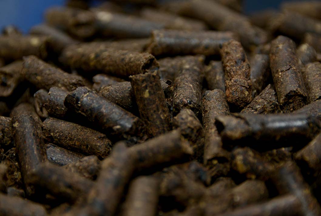 Costa Rica. Cafetaleros podrán utilizar la broza del café para producir energía