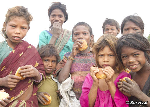 El Gobierno de la India da un giro de 360 grados y paraliza la expulsión de  tribus de los parques nacionales