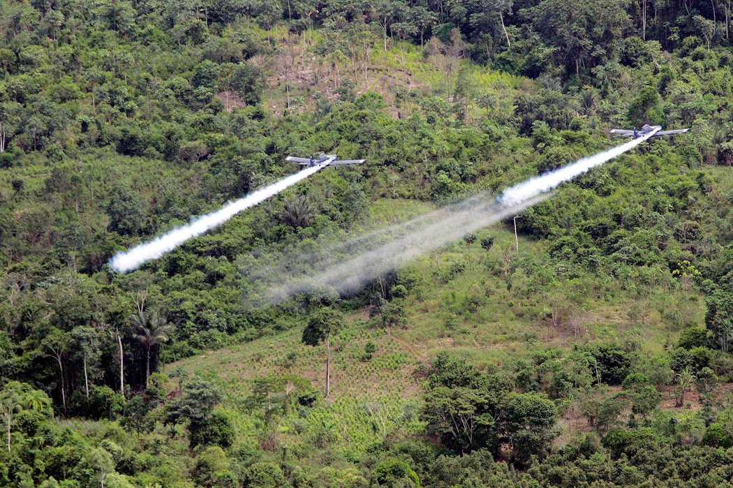 Los ilícitos cultivos de coca en Colombia se pulverizan con Glifosato