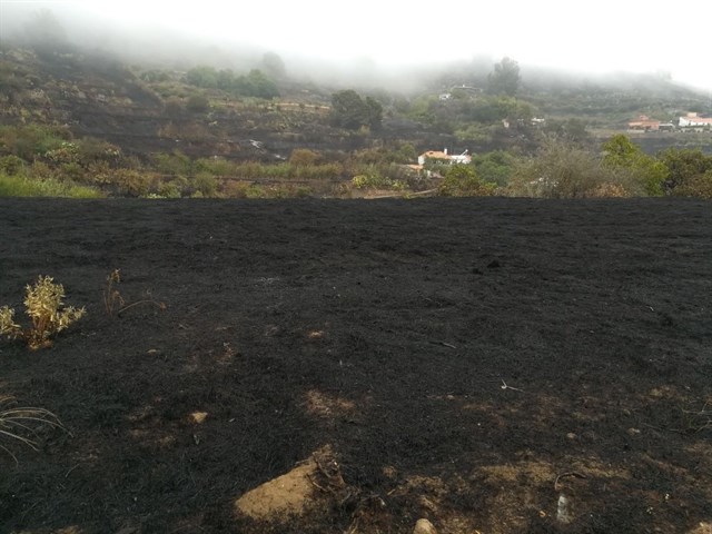 Estabilizado el incendio que afecta a la cumbre de Gran Canaria